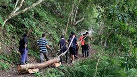 布農族佳心舊社續修復　就地取材搬運櫸木花蓮縣文化局助布農族人返回祖居地，歷史現場再造，除了在玉山國家公園內的佳心舊社重建一棟Istasipal家屋，今年持續修復附屬遺構，儘量取用現地的木材，伐採台灣櫸木及竹子，再由卓溪鄉豋山協會協助搬運木材到乾置場。（花蓮縣文化局提供）中央社記者李先鳳傳真　109年5月6日
