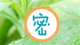 ▲蝸牛（圖／翻攝自百度百科）