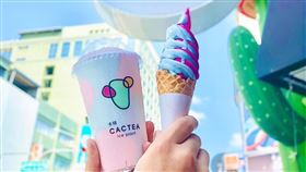 卡特,仙人掌,獨角獸,台南