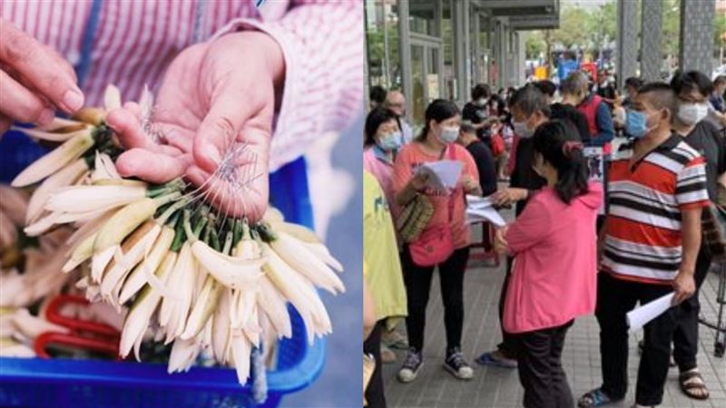 紓困方案釀玉蘭花之亂　網傻眼酸這句