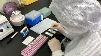 台灣武肺快篩　最快1個月可通過量產