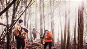 親近大自然，提升免疫力，可從「谷關七雄」群山步道開始。（圖／台中市政府觀光旅遊局提供）