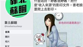 靠北蘇睏,色情,私密處,數位諸葛亮,國民黨,賴品妤,豬哥 圖／翻攝自臉書