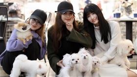 ▲可愛動物的睡姿。（圖／翻攝自推特）