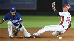 中職閉門最終戰　桃猿陳晨威盜壘成功中華職棒7日在桃園球場進行樂天桃猿隊與富邦悍將隊的賽事，8局下，桃猿陳晨威（右）先靠著四壞球上壘後，再成功盜上二壘。中央社記者張新偉攝　109年5月7日