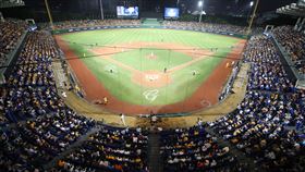 彭政閔告別新莊球場　破萬滿場球迷觀賽中職中信兄弟隊「恰恰」彭政閔2001年3月10日中職生涯首次出賽，就是在新莊棒球場亮相，18日晚間是他最後一次在新莊球場出賽，吸引滿場1萬2100人到場。中央社記者張新偉攝　108年9月18日