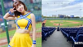 台灣透過中華職棒「軟實力」，國際高度關注。（組圖／資料照、臉書）