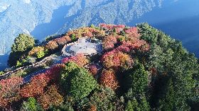 慶護師節  國家森林遊樂區醫事限期免