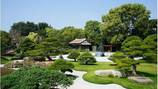 帶媽媽出遊　台版兼六園讓媽媽免費玩
