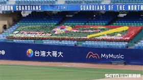 ▲中華職棒今年首度開放觀眾進場，新莊球場看台感謝防疫人員，一壘看台花海「TAIWAN can Help」。（圖／記者林聖凱攝影）