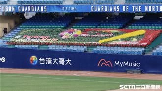 中職／世界看見台灣！新莊球場築花牆
