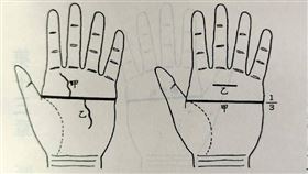 ▲斷掌紋。（圖／翻攝自網路）