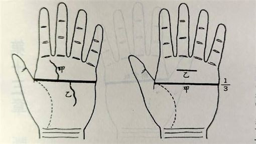 女性有斷掌會剋父母 專家 要對照面相 手相 生活 三立新聞網setn Com