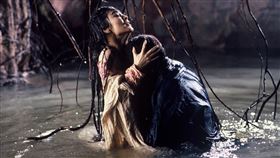 《白髮魔女傳》 華映提供