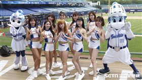 ▲中華職棒首場開放觀眾比賽，新莊球場富邦悍將啦啦隊富藍奇。（圖／記者林聖凱攝影）