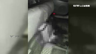 醉女小黃上狂吐　答應付清潔費卻耍賴