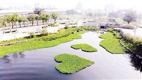 台中星泉湖重現湖光水色位於台中市東區帝國糖廠湖濱公園內的星泉湖，是早年商場建案終止後所留下大片荒廢窪地形成的湖泊，一度乾涸見底，經台中市府重新整治後，如今再現美景。（台中市政府提供）中央社記者郝雪卿傳真　109年5月9日