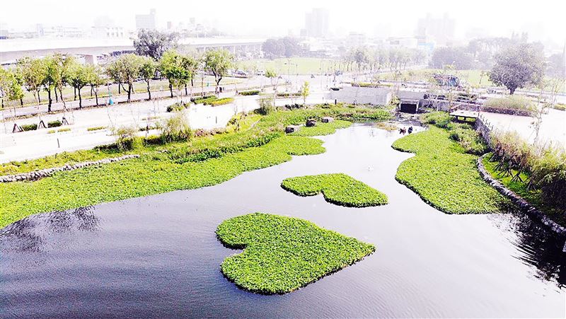 台中帝國糖廠　星泉湖美景成打卡熱點