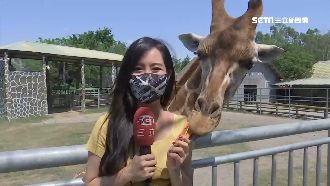 母親節到頑皮世界　學動物撒嬌融化媽