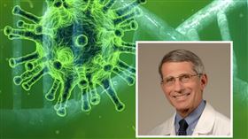 佛奇、福奇（Anthony Fauci）(翻攝美國國家過敏症與傳染病研究所官網)