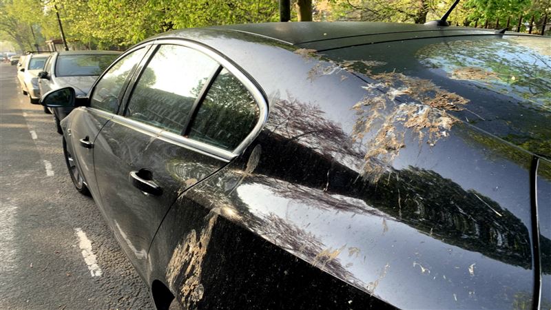 以毒攻毒？車廠研發人工鳥屎改善烤漆