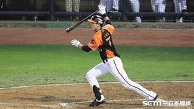 ▲統一獅林安可。（圖／記者劉彥池攝影）