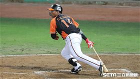 ▲統一獅邱智呈。（圖／記者劉彥池攝影）