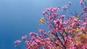 　名家專用／草根影響力新視野（勿用）