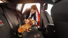 ▲毛小孩能讓開車更安全（圖／翻攝官網）