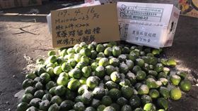 北農導入新式快檢技術　4月驗出3%蔬果不合格台北市市場處11日發布新聞稿表示，台北農產公司以新式檢驗的化學質譜快檢抽查批發市場農產品，4月共抽驗690件蔬果產品，發現有27件不符合規定，已通知供貨農民停止供應10天。（台北市市場處提供）中央社記者黃麗芸傳真　109年5月11日