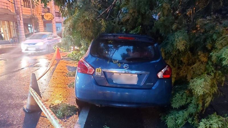 宜蘭突降大雨釀災　路樹倒塌壓毀2車