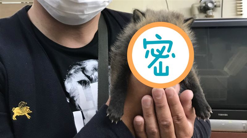 路邊奶狗抱回家…網驚呆：這隻不能養