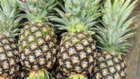 鳳梨 圖／Pixabay