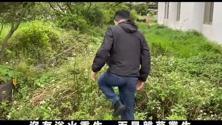 中壢人傻眼！藍委開箱「蚊子館」酸爆