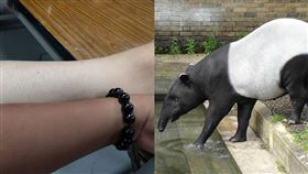 有網友貼出8年居住台南的皮膚變化使。（圖／翻攝自爆廢公社）