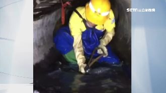 獨／韓粉曬影片讚韓　北市清潔員打臉