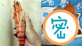 蝦透了！她市場買「20公分活蝦」…煮熟一剝傻眼：被詐騙（圖／翻攝自臉書）