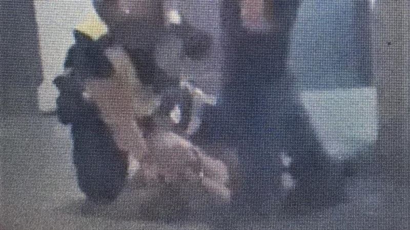 男女打運將又襲警　警二度狠踹短裙女