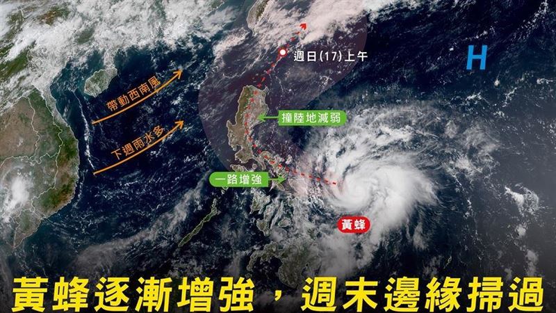 黃蜂會侵襲、直撲台灣嗎？看這篇就知