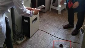 紗布,下體,開刀（圖／翻攝自澎派新聞）