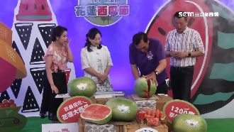 縣長推花蓮西瓜　500顆30分完售