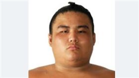 ▲日本相撲勝武士。（圖／取自推特）