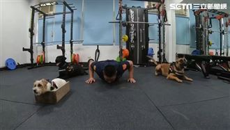 中警犬「隊員」做伏地挺身　萌樣炸翻