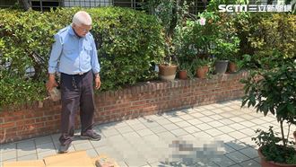 14樓墜下奇蹟生還　8歲女童近況曝