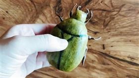 甲蟲,金龜子,廚藝,餅乾,鄉下（圖／翻攝自廚藝公社）