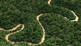 亞馬遜雨林。
（圖／翻攝自維基百科）