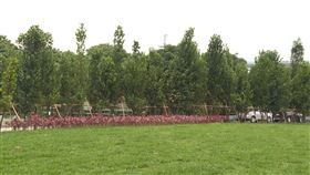 城市綠美學　五股垃圾山變身綠色樂園