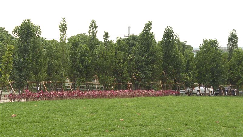 點石成金！　五股垃圾山變身綠色樂園