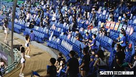 新莊棒球場首場開門比賽，球迷梅花座熱情加油。（圖／記者林聖凱攝影）