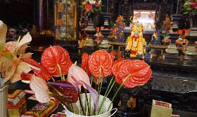 農糧署攜手宮廟　開拓寺廟用花市場